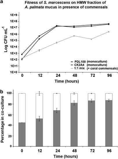 Competitive fitness of S. marcescens with coral commensals. Coral commensal strains shown to inhibit β-d-galactopyranosidase activity in S. marcescens PDL100 were grown in coculture on high-molecular-weight fraction of A. palmata mucus with wild-type PDL100 and transposon mutant CK2A4. To prepare inoculum of S. marcescens strains, overnight cultures were serially diluted and wild type and CK2A4 were mixed in 1:1 ratio and inoculated at 102 cfu ml−1. The coral commensals (Photobacterium sp. 33G2, P. damselae 33G4, Exiguobacterium sp. 33G8, P. leiognathi 33C4, P. leiognathi 33E3 and Vibrio harveyi 34B3) were grown separately, mixed as a cocktail and inoculated at 104 cfu ml−1 concurrently with S. marcescens. (a) In monocultures (black lines) of S. marcescens without coral commensals, the wild type (filled square) and CK2A4 mutant (empty square) reached the same population densities. In the coculture on high-molecular-weight fraction of A. palmata mucus in the presence of the coral commensals, growth of S. marcescens was significantly reduced (gray line). Averages of three biological replicates (three independent cultures) are shown. Error bars are standard errors. (b) Fitness of the mutant versus the wild type in the presence of the commensals was estimated by patching of Serratia colonies onto media with the appropriate antibiotics. The relative proportion of the wild type is shown as the gray portion of the stacked column.