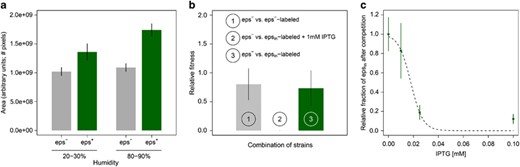 Benefits and costs of EPS production. (a) EPS production facilitates biofilm spreading: on average EPS-producing biofilms (eps+; n=9–10) are bigger than EPS-deficient mutant biofilms (eps−; n=9–10) both at low humidity levels (20%–30%) and at high humidity (80%–90%). (b) EPS-producing cells have a competitive disadvantage when grown in mixed culture with cells that do not produce EPS (n=3 per treatment): when an IPTG-inducible EPS-producing strain and an EPS-deficient mutant compete in the presence of IPTG there is a competitive advantage for the EPS mutant (i.e. the relative fitness of epsin is significantly lower than 1; see treatment 2). When none of the strains produces EPS, because either two EPS mutants compete (treatment 1) or because EPS production was not induced by IPTG (treatment 3), there is no significant change in the frequency of each competitive strain during competition (see Data analysis for a precise description of relative fitness). (c) The competitive disadvantage of the inducible EPS-producing strain epsin increases with the concentration of the inducer IPTG (n=3 per treatment). Bars and dots correspond to the mean and the vertical lines show the associated standard deviation. The dashed line denotes the logistic regression line (y=1/(1+ea+b·x): a=−3.7±1.2 (s.e.), Pa=0.01, b=206±61, Pb=7 × 10−3).