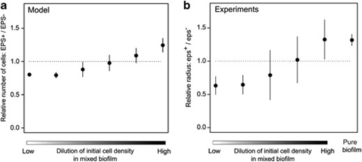 Effect of the density of founder cells on the relative fitness of cooperation. (a) Simulation results (n=10 per treatment). As in Figure 2a, we simulated the growth of two strains in mixed biofilms that were initialized with different numbers of founder cells. Now one strain (‘EPS+’) produced EPS while the other one (‘EPS−’) did not. Starting with equal proportions, the relative frequency of EPS+ cells was determined at the end of the growth period. At high founder densities (i.e. a low dilution level) the EPS− strain had a selective advantage, whereas the EPS+ strain had a selective advantage at low founder densities (i.e. a high dilution level). Dots and error bars represent, respectively, the mean and standard deviation. (b) Lab experiments (n=7–18 per treatment; in total 74 biofilms). At various dilution levels, biofilms were inoculated with eps− and eps+ strains that could be distinguished due to different fluorescent markers. After 3 days of growth, the fitness of each strain was quantified by the distance the strain had grown from the center of the biofilm towards the edge (i.e. the radius). In addition to the relative radius in various mixed cultures of eps− and eps+, also the quotients to the radii of two separate monocultures of eps− and eps+ pure biofilms are shown.