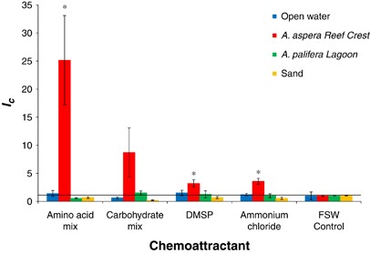 Bacterial chemotaxis to the amino-acid mix, carbohydrate mix, DMSP and ammonium chloride (all at 100 μm) observed at four coral reef microenvironments on Heron Island using the in situ chemotaxis assay (ISCA). ISCAs were deployed in the open water outside the reef (blue bars); on the coral A. aspera on the reef crest (red bars); on the coral A. palifera in the lagoon (green bars); and at the sandy substrate under water in the lagoon (orange bars) (see Supplementary Figure S1). Values on the y axis represent the chemotactic index, Ic, computed after bacterial concentrations in ISCA wells containing chemoattractants were normalised to bacterial concentrations in the FSW control. Responses above the horizontal line represent positive chemotaxis. Vertical bars represent mean±s.d. (n=4). An asterisk above a microenvironment represents chemotaxis that is significantly higher than the FSW control; α=0.05. A full colour version of this figure is available at the International Society for Microbial Ecology journal online.