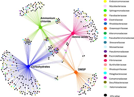 OTU network resulting from the ISCA deployment on A. aspera. Chemotactic bacterial OTUs (small circles) are linked to each chemoattractant that they responded to (coloured diamonds) by lines (edges) with colours corresponding to each chemoattractant. Where an OTU responded only to a single chemoattractant, its corresponding node is connected only to that chemoattractant (the outer clusters of nodes). Where an OTU responded to multiple chemoattractants, the corresponding node is connected to the relevant groups of chemoattractants (nodes in the centre). OTUs belonging to known groups of coral-associated bacteria, according to Raina et al. (2010), are denoted by the different colours listed in the legend. These known coral associates account for 41.37% of all OTUs. Of the remaining black nodes, ∼27.9% of OTUs could not be identified beyond the order level. A full colour version of this figure is available at the International Society for Microbial Ecology journal online.