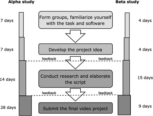 Procedure of the assignment in the alpha study.