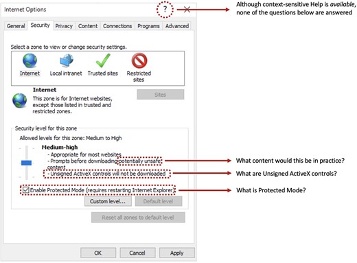 The main Security Options interface from Microsoft Internet Explorer 11.