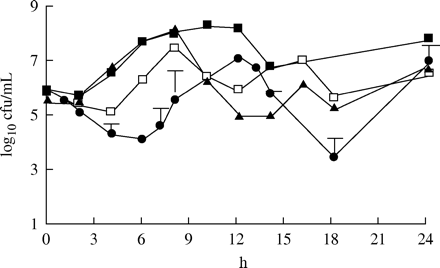 The killing effect of amoxicillin at different dosage regimens against S. pneumoniae 542-2003 (MIC=8 mg/L). Filled squares=875 mg twice daily; filled triangles=500 mg three times daily; open squares=875 mg three times daily (mean of two experiments); filled circles=enhanced formulation twice daily (mean of three experiments ± s.d.).