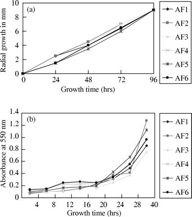 (a) Comparison of the radial growth of six isolates growing on PDA at 35°C. Radial growth was measured as the radius of the expanding colony in millimetres (y-axis) relative to hours of incubation (x-axis). (b) The MTT assay. Growth curve was measured using the production of formazan by the six isolates over time.