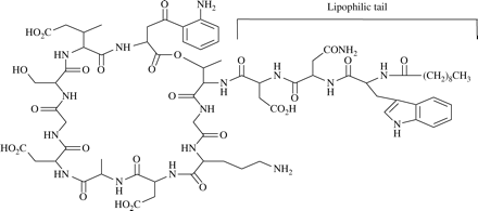 Daptomycin chemical structure.