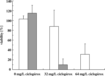 Influence of oxygen on the susceptibility of cells to ciclopirox. C. albicans CBS 562 was pre-cultured in modified Sabouraud glucose medium with and without shaking. Pre-cultured cells were incubated in 5 mM proline/10 mM glucose/PBS supplemented with 32 or 64 mg/L ciclopirox or without drug (control) for 4 h (oxygen-rich conditions, open bars; reduced oxygen conditions, grey bars). The viability for each culture is indicated as the average ± SD from five independent experiments. The viability for cells pre-cultured under reduced oxygen conditions and incubated with 64 mg/L ciclopirox was 0 ± 0.084%.