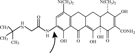 Structure of tigecycline. The arrow indicates the addition of a 9-tert-butyl-glycylamido side chain on the D ring at the 9th position.