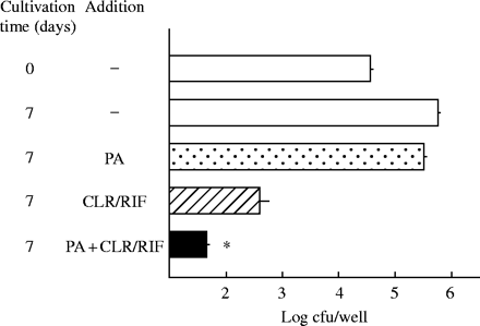 PA-mediated potentiation of antimicrobial effects of clarithromycin (CLR)/rifampicin (RIF) against intramacrophage MAC. MAC N-444-infected THP-1 macrophages were cultured in the medium with or without addition of PA (20 mM) or CLR/RIF (Cmax: CLR, 2.3 mg/L; RIF, 6.2 mg/L) alone or in combination for 7 days. *Significant combined effects (P < 0.01). The other details are the same as in Figure 5.