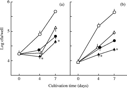 PA-mediated potentiation of antimicrobial effects of levofloxacin (a) and sitafloxacin (b) against intramacrophage MAC. MAC N-444-infected THP-1 macrophages were cultured in the medium with or without addition of PA (20 mM) or test quinolone (Cmax: levofloxacin, 2.0 mg/L; sitafloxacin, 0.51 mg/L) alone or in combination for up to 7 days. Open circles, none added; open triangles, test quinolone; filled circles, PA (20 mM); filled triangles, test quinolone + PA. *Significant combined effects (P < 0.05). The other details are the same as in Figure 5.