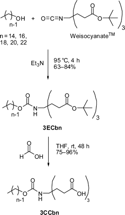 Schematic representation of the synthesis of 3CCbn.