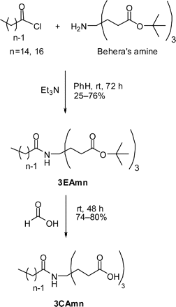 Schematic representation of the synthesis of 3CAm14 and 3CAm16.