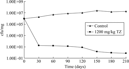 Effect of thioridazine (TZ) on the recovery of M. tuberculosis from infected mice. Four groups, each consisting of eight female mice were infected intraperitoneally with approx. 106 cfu of M. tuberculosis H37Rv ATCC 27294 and treated 3 days later with daily doses of thioridazine (100, 400 or 1200 mg/kg). The fourth group received no drug. At intervals of 30 days one mouse from each of the four groups was sacrificed, their lungs removed, weighed and homogenized, and mycobacteria were freed from cellular debris with the use of NaOH/sodium citrate/cysteine. Following centrifugation to remove cell debris, the supernatant was used for the preparation of serial dilutions required for colony-forming unit determination. Because treatment with daily doses of 100 and 400 mg/kg produced marginal results, these data are not shown. Controls, filled triangles; 1200 mg/kg, filled squares.