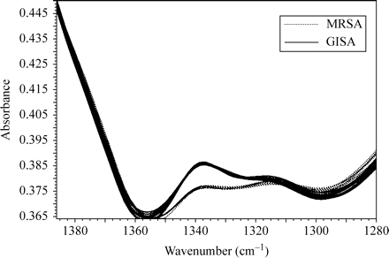 FTIR spectra of GISA/hGISA (solid lines) and MRSA (dotted lines) in the region 1380–1280 cm−1. A colour version of this figure is available as Supplementary data at JAC Online (http://jac.oxfordjournals.org/).
