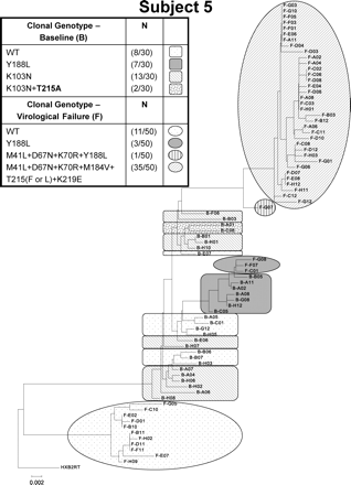 Phylogenetic analysis of plasma HIV variants isolated from a representative subject (Subject 5) whose baseline HIV-1 RNA was 5.34 log10 copies/mL and whose baseline (pre-therapy) population genotype resistance mutations included K103K/N + Y188F/H/L/Y and who at failure had an HIV-1 RNA of 4.23 log10 copies/mL and a population genotype of M41L + D67N + K70R + M184V + T215F + K219E. Clonal analysis detected distinct viral species, and some of these clonal variants contained different mutational patterns at baseline and at VF from those observed by population sequencing. Phylogenetic trees were constructed by using the neighbour-joining method and out-grouped with HXB2RT (HXB2 reverse transcriptase reference sequence). The scale indicates the relative phylogenetic distance. WT, wild-type.