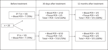 Percentage of positive blood and tissue (right atrium) PCR assay results obtained before treatment as well as 1 month and 12 months post-treatment with 7 mg/kg benznidazole twice daily for 60 days in dogs infected with the Berenice-78 T. cruzi strain. IF: infected untreated animals. IF-T: infected benznidazole-treated animals.