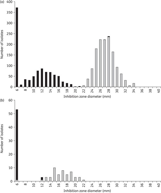 Inhibition zone diameter correlated to specific resistance mechanisms. (a) Methicillin resistance in S. aureus defined as mecA-positive (black) and mecA-negative isolates (grey) correlated to the inhibition zone diameters using a cefoxitin 30 μg disc. Isolates without mecA exhibit zone diameters of 22 mm or above. (b) Chromosomally mediated β-lactam resistance defined by mutations in the PBPs of 104 β-lactamase-negative H. influenzae correlated to the inhibition zone diameters using a benzylpenicillin 1 U disc. Isolates without PBP mutations exhibit zone diameters of 12 mm or above.