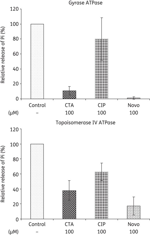 Effect of closthioamide on the ATPase function of E. coli gyrase and topoisomerase IV. Relative inhibition of inorganic phosphate release compared with the untreated control (Control). Ciprofloxacin and novobiocin were used as negative and positive inhibitor controls. CTA, closthioamide; Pi, inorganic phosphate; CIP, ciprofloxacin; Novo, novobiocin.