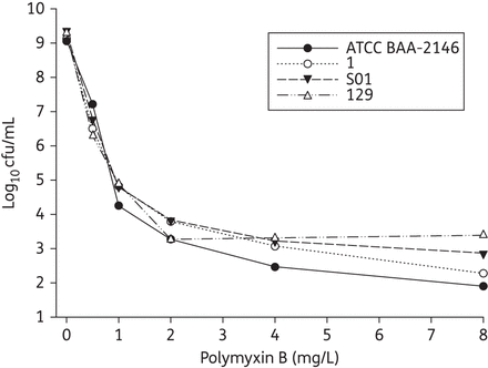 Baseline polymyxin B PAPs of the reference strain and all clinical isolates at an initial inoculum of ∼109 cfu/mL. The y-axis starts from the limit of detection.