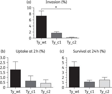 Ability to invade HeLa cells and uptake by and survival in macrophages is compromised upon infection with Ty_c1 and Ty_c2. Invasion was performed by infecting HeLa cells with the different bacteria (a). Uptake at 2 h (b) and survival at 24 h (c) was assessed by infecting human differentiated macrophages with the three strains studied. Results correspond to the mean of three independent experiments ± standard error. Differences between groups were assessed using the one-way ANOVA test. *P < 0.05.