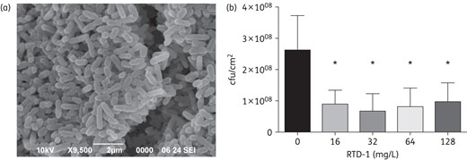 Activity of RTD-1 against PAO1 biofilms. Biofilms were grown on polycarbonate membranes placed on M63 agarose plates as described in the Materials and methods section. (a) Electron microscopy image of PAO1 aggregates on polycarbonate membranes. After 48 h of growth, the membranes were transferred to fresh agarose plates containing RTD-1. (b) Activity of RTD-1 against PAO1 biofilms. After exposure to RTD-1 at various concentrations (8–64× MIC) for 48 h, biofilms on the membranes were resuspended in sterile PBS, diluted and plated to determine cfu. Values represent an average of three independent experiments ± SEM. *P < 0.05 for comparison of each concentration of RTD-1 with the control.