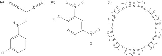 Structures of chemically synthesized PMF blockers. (a) CCCP. (b) DNP. (c) Valinomycin. Obtained from PubChem; http://www.ncbi.nlm.nih.gov/pccompound.