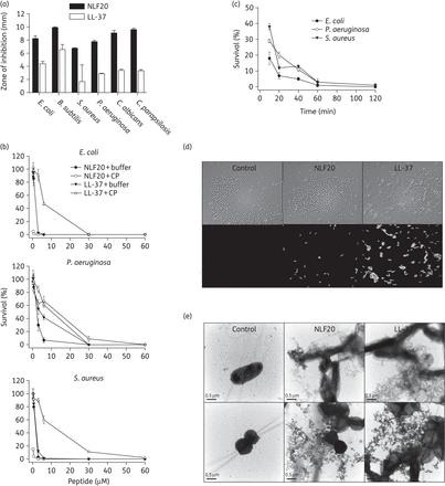 (a) Antimicrobial activity (using radial diffusion arrays) of NLF20 against the indicated microbes. For determination of antimicrobial activities, E. coli ATCC 25922, P. aeruginosa ATCC 27853, S. aureus ATCC 29213 and B. subtilis ATCC 6633 isolates (4 × 106 cfu) and C. albicans ATCC 90028 and C. parapsilosis ATCC 90018 (1 × 105 cfu) were inoculated into 0.1% TSB agarose gel (mean values are presented, n = 3). LL-37 is shown for comparison. (b) Antibacterial effects of NLF20 and LL-37 against E. coli ATCC 25922, P. aeruginosa ATCC 27853 and S. aureus ATCC 29213 in viable count assays at the indicated concentrations in 0.15 M NaCl/10 mM Tris, pH 7.4 (buffer), or in 0.15 M NaCl/10 mM Tris, pH 7.4, containing 20% human citrate plasma (CP) (n = 3, SD is indicated). (c) The time dependence of bacterial killing by NLF20 (at 6 µM) in 0.15 M NaCl/10 mM Tris, pH 7.4, containing 20% plasma was analysed by viable count assays using the indicated bacteria. (d) Permeabilizing effects of peptides on E. coli assessed using the impermeant probe FITC. (e) Electron microscopy analysis. P. aeruginosa and S. aureus bacteria were incubated for 2 h at 37°C with 6 µM NLF20 and visualized by negative staining. LL-37 is shown for comparison. Scale bar represents 0.5 µm. Control = buffer control.