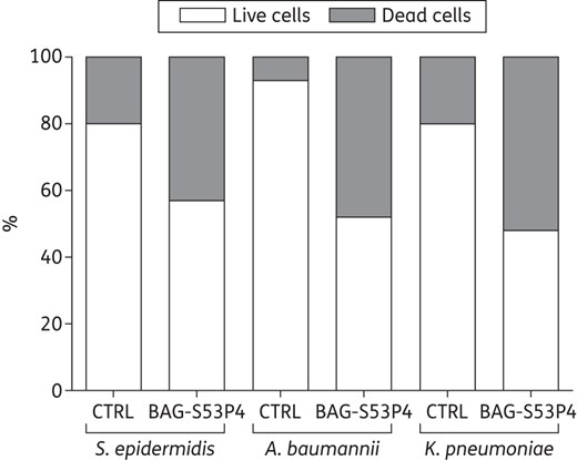Percentage composition, in terms of live cells (white bars) and dead cells (grey bars), of the biofilm developed by MDR strains after incubation with 400 mg/mL BAG-S53P4 or inert glass (CTRL) for 48 h.