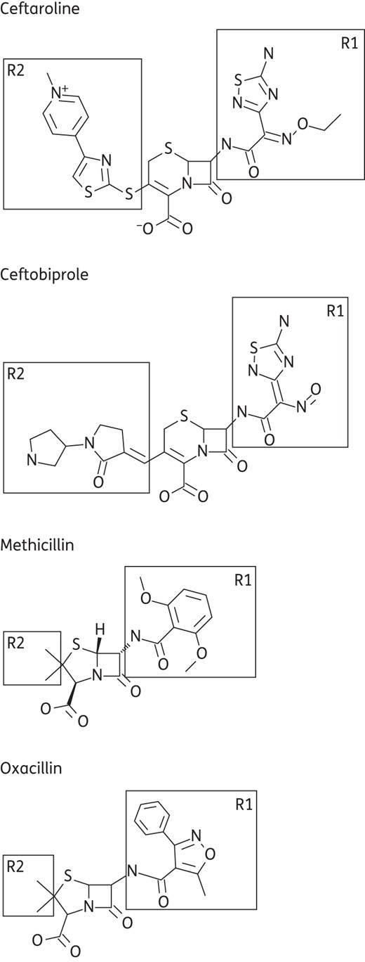 Chemical structures of β-lactam compounds.