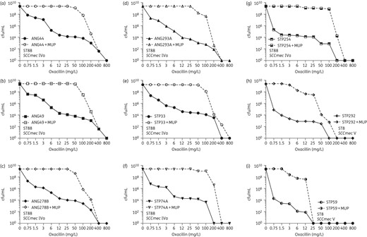 PAPs of the nine African strains on oxacillin plates with and without supplementation by a sub-MIC concentration of mupirocin. MUP, mupirocin.