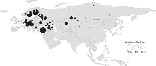 Strains defined as either canSNP group B.12 or biovar II are indicated as filled circles with a diameter proportional to the number of strains (n = 1144). Strains of canSNP group B.4/B.6/B.16, biovar I or biovar japonica are indicated as open circles (n = 674). The geographical position is given per country; or for China and Russia, per geographical region.