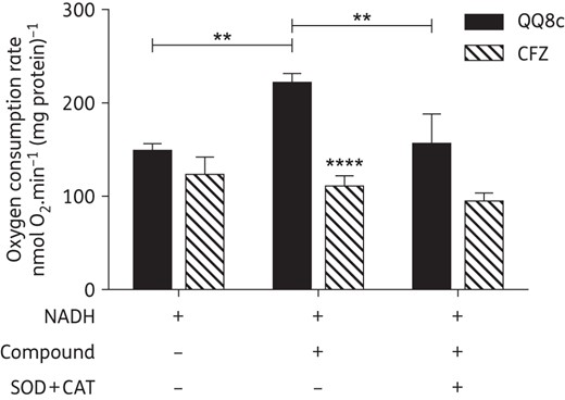 QQ8c stimulates oxygen consumption by promoting the generation of ROS. The degree of stimulation of oxygen consumption from NADH-induced respiration by QQ8c or clofazimine (CFZ) was measured in M. bovis BCG inverted membrane vesicles (IMVs). In a separate experiment, further supplementation with superoxide dismutase and catalase (SOD + CAT) was performed to assess the production of ROS. Plus and minus symbols indicate the presence and absence, respectively, of NADH (1 mM), QQ8c (13.6 mg/L), CFZ (23.7 mg/L) or SOD + CAT in each independent experiment. **P < 0.01 QQ8c versus untreated and QQ8c in the presence versus QQ8c in absence of SOD + CAT, ****P < 0.0001 QQ8c in the absence of SOD + CAT versus CFZ in the absence of SOD + CAT (two-way ANOVA, Sidak's multiple comparison test). Error bars represent the standard deviation from three independent technical replicates.