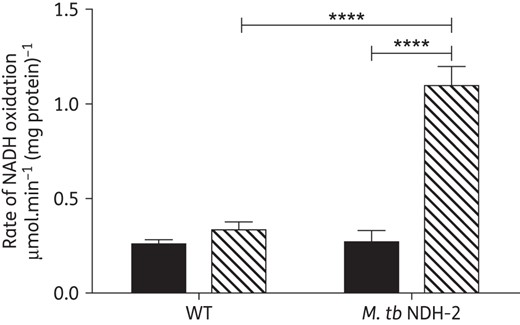 Mycobacterial type II NADH dehydrogenase is the target of QQ8c. Stimulation of NADH oxidation in inverted membrane vesicles (IMVs) prepared from M. smegmatis Mc2155 (WT) and M. smegmatis Mc24517 overexpressing M. tuberculosis H37Rv type II NADH dehydrogenase (M. tb NDH-2). NADH oxidation measured in untreated IMVs (black bars) or 2.7 mg/L QQ8c-treated IMVs (hashed bars). ****P < 0.0001 M. tb NDH-2 basal versus M. tb NDH-2 QQ8c-treated and WT QQ8c-treated versus M. tb NDH-2 QQ8c treated (two-way ANOVA, Tukey's multiple comparison test). Error bars represent the standard deviation from three independent technical replicates.