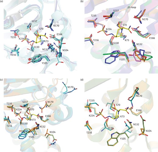 Avibactam binding pocket comparison. CTX-M-15 covalently bound to avibactam (shown as yellow sticks) is overlaid with various enzyme structures. Residue labels represent standard class A numbering. (a) ESBL and non-ESBL class A β-lactamases, where the five TEM enzymes are in various shades of cyan, SHV-1 is in blue and CTX-M-15 bound to avibactam is in grey. (b) Overlay of class A carbapenemases: KPC-2 (green), SME-1 (pink), NMC-A (orange) and GES-5 (blue). (c) Overlays of PER-1 (blue), PER-2 (cyan), SME-1 (magenta), BEL-1 (green) and OXY-1 (orange). (d) Overlay of representative GES enzymes containing Gly (GES-1, green), Ser (GES-5, orange) or Asn (GES-2) at position 170. For clarity, the backbone of the CTX-M-15 protein has been removed from panels (b)–(d).