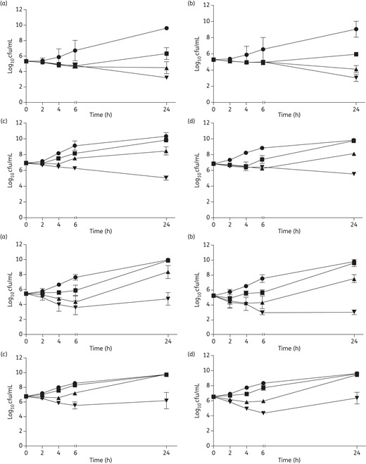 In vitro telavancin (top panel) and daptomycin (bottom panel)
time–kill curves. CC45 300-169 strain (a) and CC5 300-246 strain (b) at 105 cfu/mL. CC45 300-169 strain (c) and CC5 300-246 strain (d) at 107 cfu/mL.
Time–kill experiments were performed using Mueller–Hinton broth in the presence of 0
(circles), 1× (squares), 2× (triangles) and 5× (inverted triangles) MIC of telavancin
or daptomycin.