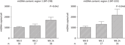 Changes in adipose tissue mtDNA content over 24 weeks in subjects initiating HIV PI-only ART. mtDNA was measured at two regions of the mitochondrial genome by qPCR: mitochondrially encoded cytochrome b (MT-CYB; region 1) and mitochondrially encoded cytochrome c oxidase I (MT-CO1; region 2). mtDNA levels were normalized to nuclear genome DNA copy number (primers targeting peroxisome proliferator-activated receptor γ), with mtDNA copies/cell calculated as copy number of mtDNA/(copy number of nuclear DNA/2). Data are presented as mean (SEM) and P values correspond to the output of marginal model analyses. The number of samples (n) included at each timepoint is indicated under each graph. Wk, week.