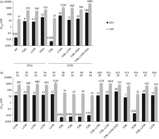 Effect of HCV GT2 NS5A resistance-associated variants on NS5A inhibitor activity. Bars indicate the 50% effective concentration (EC50) ± SD for daclatasvir (DCV) and ledipasvir (LDV), respectively, against HCV GT2 replicons harbouring the indicated NS5A substitutions or patient-derived NS5A sequences. EC50 values represent the average of three independent experiments. (a) Substitutions in GT2a and GT2b NS5A replicon reference sequences (see Methods section). (b) Patient-derived NS5A sequences with observed substitutions at positions of interest; patient numbers (P1–P16) above the bars reflect NS5A sequence clusters identified in the phylogenetic analysis (Figure 1) and GT2 subtypes are also shown.