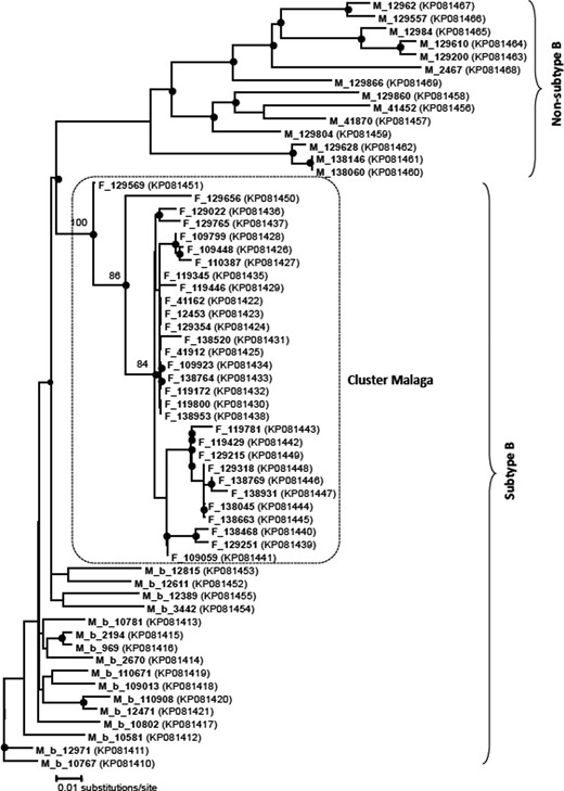 Phylogenetic tree obtained by the neighbour-joining method and based on the partial RT region of the HIV genome. The box shows the position of the Malaga transmission cluster compared with the same region in other therapy-naive patients. Shaded circles at the nodes indicate bootstrap values >50%, showing the main groupings of the Malaga cluster in more detail. Each patient is represented by their sample ID. GenBank accession numbers are given in parentheses.