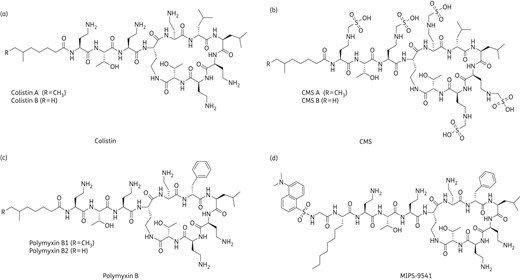 Structures of (a) colistin, (b) CMS, (c) polymyxin B and (d) MIPS-9541.