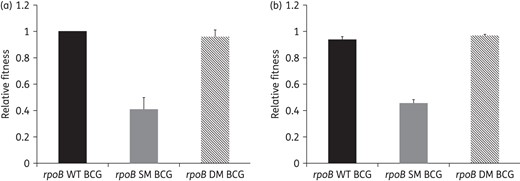 Relative fitness of the rpoB S531L single-mutant BCG and its isogenically derived double mutant (rpoB S531L and rpoB V615M) compared with WT BCG in single (a) and competition (b) cultures.