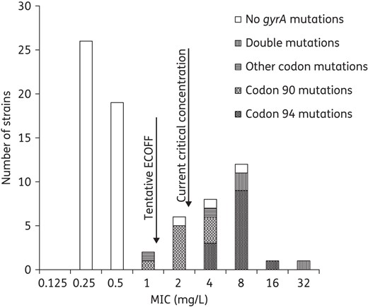 MIC distribution of ofloxacin in relation to mutations in gyrA. Seven isolates with mutations in gyrA were below the current critical concentration (breakpoint) at 2 mg/L. The suggested range for an intermediate group is 1–2 mg/L.