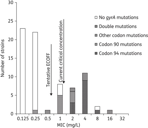 MIC distribution of levofloxacin in relation to mutations in gyrA. Seven isolates with mutations in gyrA were below the current critical concentration (breakpoint) at 1 mg/L. The suggested range for an intermediate group is 0.5–1 mg/L.