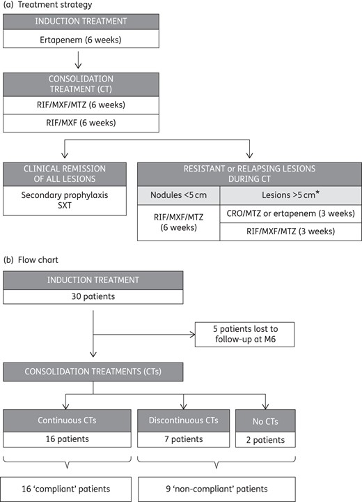 Treatment strategy and flow chart. *When the lesions were >5 cm in diameter, ceftriaxone and metronidazole, or a new course of ertapenem in patients with a high number of persisting active HS areas, were prescribed for 3 weeks, followed by a new oral consolidation treatment. Ertapenem, 1 g daily; ceftriaxone (CRO), 1 g daily; rifampicin (RIF), 10 mg/kg once daily; moxifloxacin (MXF), 400 mg once daily; metronidazole (MTZ), 500 mg three times daily; co-trimoxazole (SXT), 400 mg once daily.