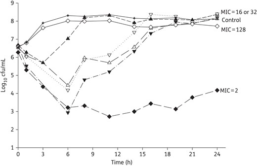 Mean bacterial density over 24 h for four K. pneumoniae and two P. aeruginosa tested in intravenous meropenem monotherapy. MIC values are given as mg/L.
