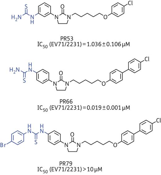Chemical structures and corresponding IC50 of PR53, PR66 and PR79. This figure appears in colour in the online version of JAC and in black and white in the print version of JAC.