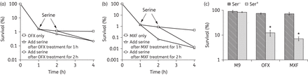 Killing persisters with the synergy of l-serine. l-Serine accelerated the persister cell death rate in stationary phase when preformed persisters were treated. Experiments were performed in the presence of 5 mg/L ofloxacin (a) or 5 mg/L moxifloxacin (b) alone and in combination with 15 mM l-serine. (c) Percentage survival of E. coli persisters in the presence or absence of l-serine plus ofloxacin or moxifloxacin. Values were compared with the control (without l-serine) at the same antibiotic concentration. Data are shown as mean ± SD of triplicate wells. Similar results were obtained in three independent experiments. *P < 0.05. OFX, ofloxacin; MXF, moxifloxacin.