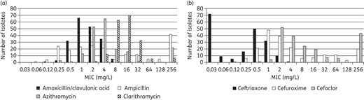 MIC distribution for (a) amoxicillin/clavulanic acid, azithromycin, clarithromycin and ampicillin and (b) cefaclor, cefuroxime and ceftriaxone against all H. influenzae.