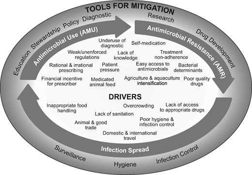 Schematic of the development, spread, drivers and tools for the mitigation of AMR. Drivers and tools for mitigation may influence any or all of AMU, AMR and infection spread. Their location on the schematic does not imply anything about where they play a role.