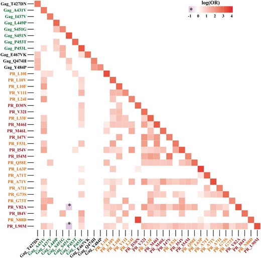 Heat map representing pairwise correlations in the Gag–PR region, ordered according to amino acid positions. Red labels indicate major PI resistance codons in PR, orange labels indicate minor PI resistance mutations, green labels indicate Gag positions correlated with PI exposure and black labels indicate novel Gag codons linked to PI exposure. Only significant associations are shown as coloured squares; a more intense colour reflects higher significance, with OR plotted on a logarithmic scale. This figure appears in colour in the online version of JAC and in black and white in the print version of JAC.