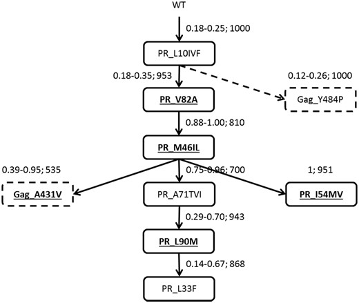 Mutagenetic tree illustrating the mutational pathways for Gag and PR mutations observed in the dataset. Bold and underlined font in an unbroken box represents major resistance mutations in PR; ordinary font in an unbroken box represents minor resistance mutations in PR; bold and underlined font in a broken box represents known treatment- and resistance-associated mutations in Gag; ordinary font in broken box represents novel treatment-associated mutations in Gag. Arrows indicate the order of appearance. The first two numbers next to an arrow represent the 95% CI for the conditional probability of occurrence of the next respective genetic event. The third number indicates the bootstrap support of a given element. The broken arrow indicates a branch with no support from the analysis of pairwise associations.